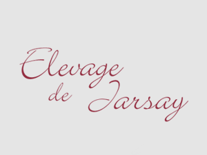 DONATELLO DE BRAY - 7ème du GP 140 de Royan 