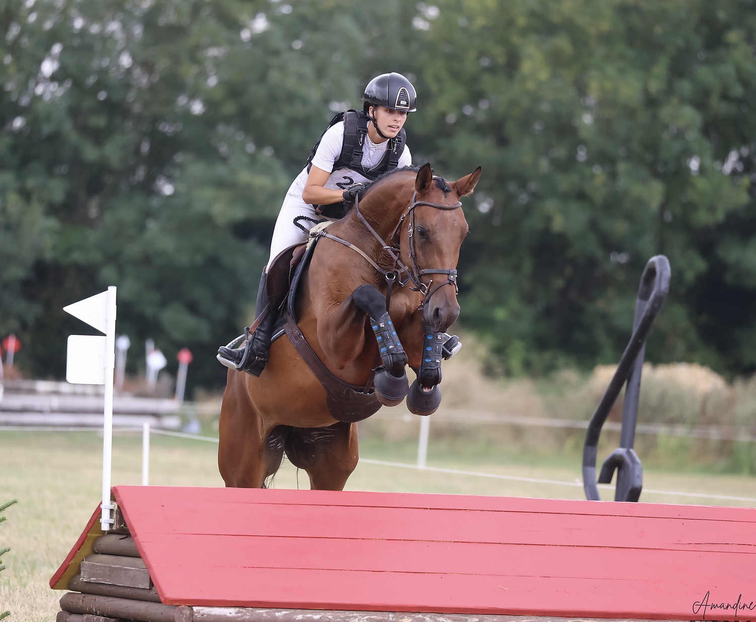 LUNEDEMIEL DE JARSAY  LUNEDEMIEL DE JARSAY